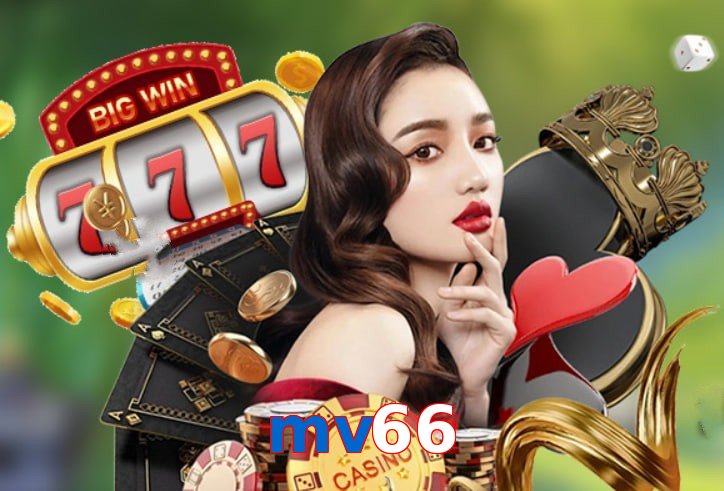 mv66