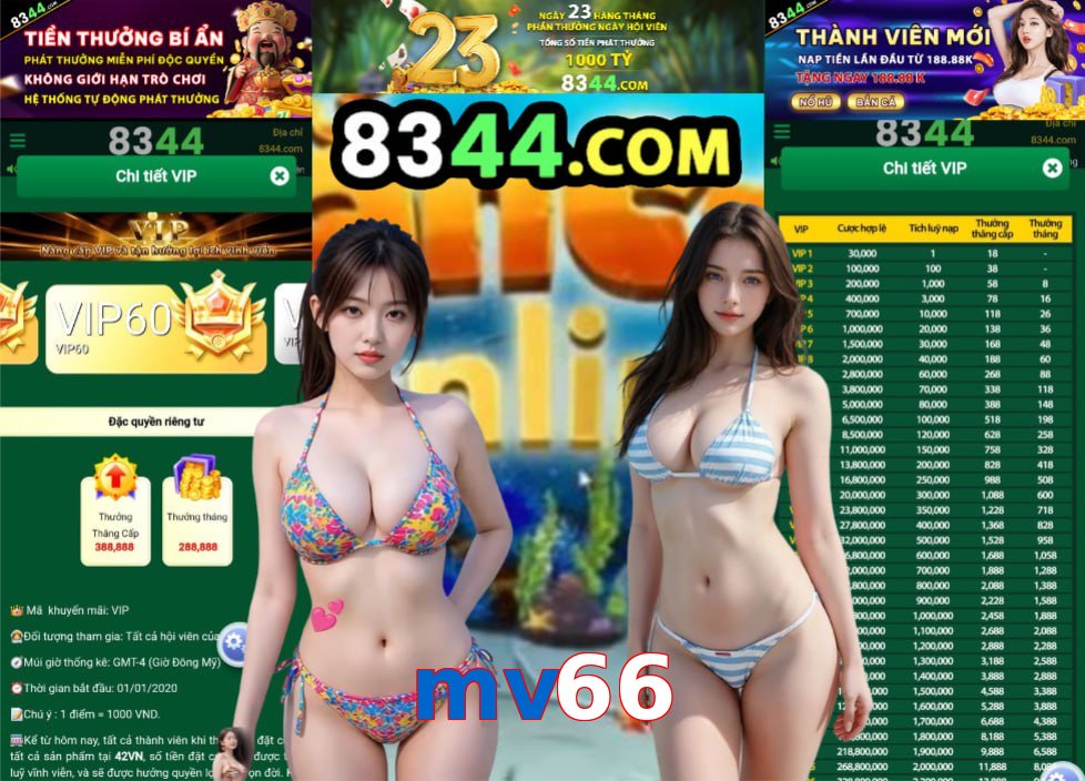 mv66